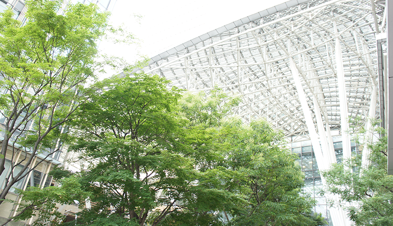 众发平台 有料版ではピッチ補正機能やMIDIキーボードサポートなどもある